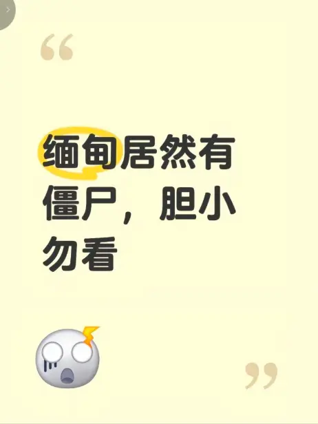 《缅甸僵尸出土事件》高清无删减视频完整版在线观看-揭秘缅北神秘事件真相-全程录像免费播放