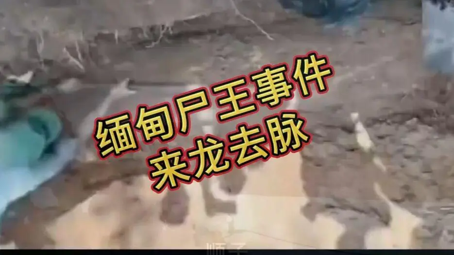《缅甸僵尸出土事件视频》完整版资源在线观看免费播放 - 缅北僵尸出土事件始末原视频高清下载 - 诡异真相解密全程录像超清未删减